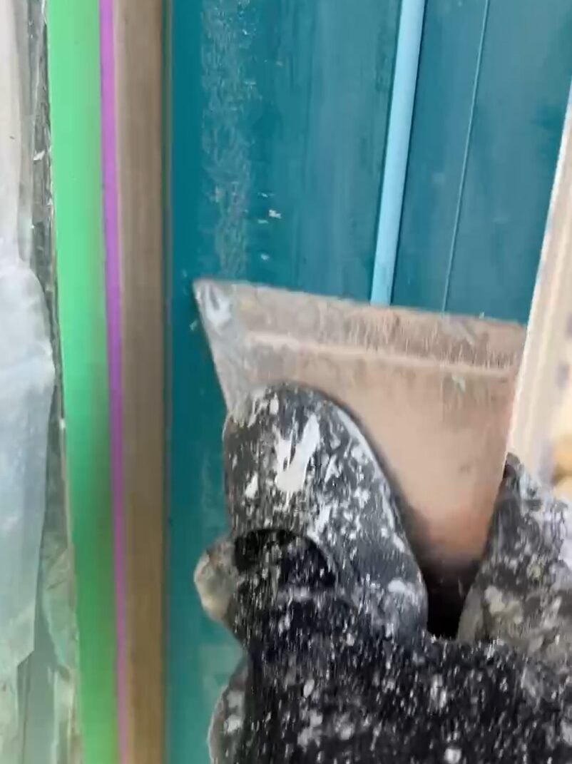 シール剥がし