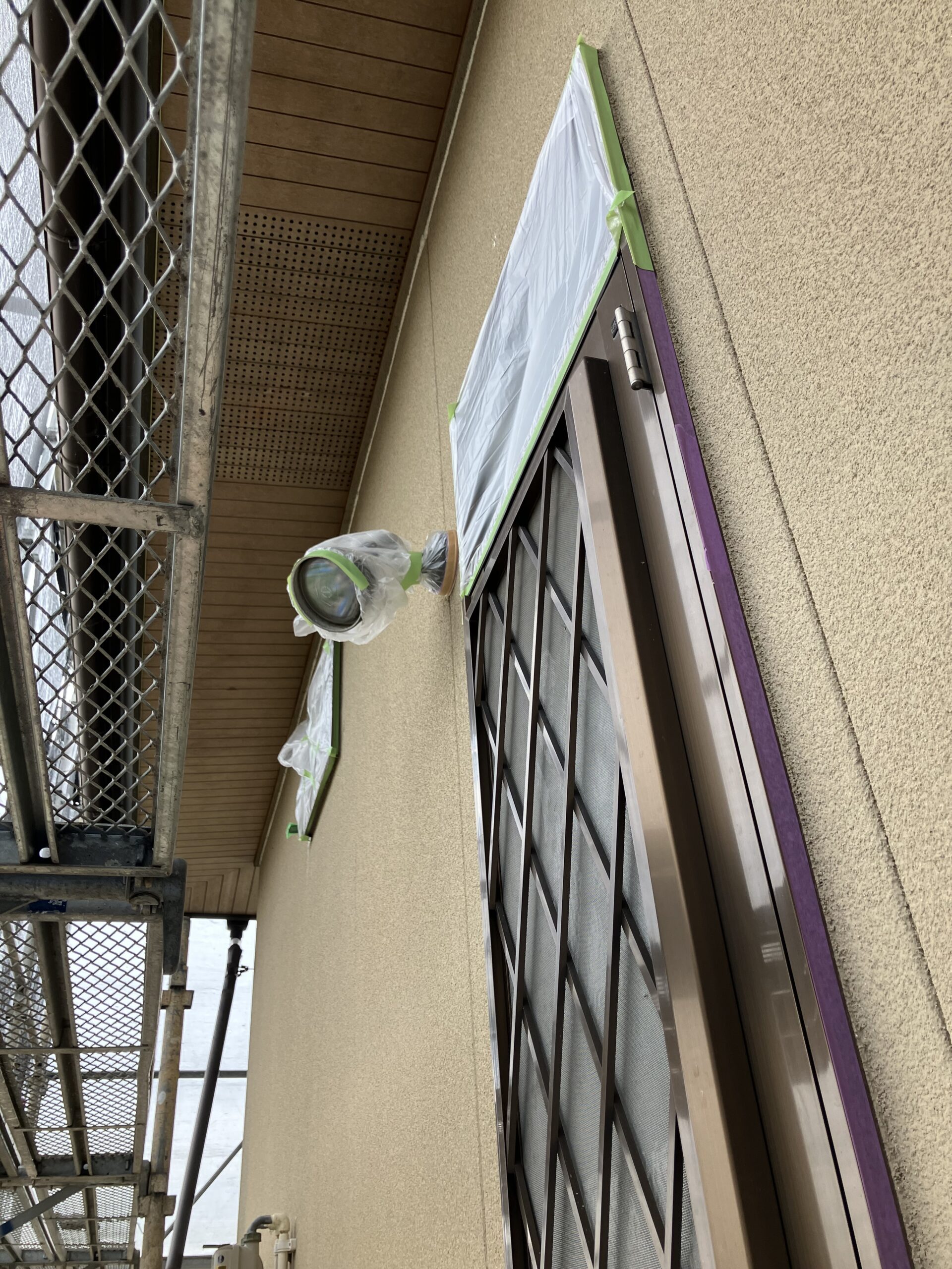 養生