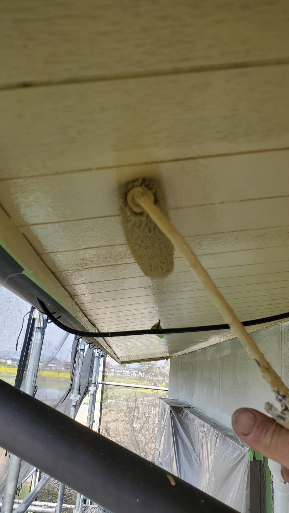 軒天上塗り